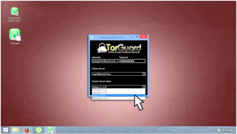 tor browser vpn torrenting